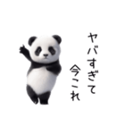 踊る！今これパンダ（個別スタンプ：7）