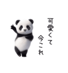 踊る！今これパンダ（個別スタンプ：8）