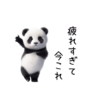 踊る！今これパンダ（個別スタンプ：9）