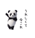 踊る！今これパンダ（個別スタンプ：10）