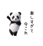 踊る！今これパンダ（個別スタンプ：11）