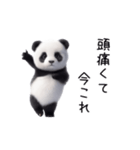 踊る！今これパンダ（個別スタンプ：14）