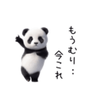 踊る！今これパンダ（個別スタンプ：16）