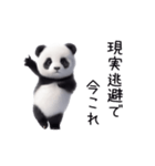 踊る！今これパンダ（個別スタンプ：19）