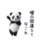 踊る！今これパンダ（個別スタンプ：23）