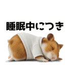 ハムスターのきもち 創刊号（個別スタンプ：30）