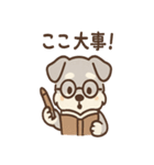 しずシュナのほっこり読書タイム（個別スタンプ：6）