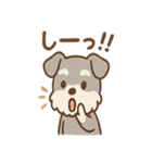 しずシュナのほっこり読書タイム（個別スタンプ：23）