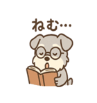しずシュナのほっこり読書タイム（個別スタンプ：24）