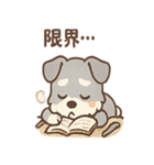 しずシュナのほっこり読書タイム（個別スタンプ：35）