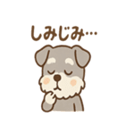 しずシュナのほっこり読書タイム（個別スタンプ：39）