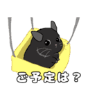 チンチラちゃんがいっぱい！【第二弾】（個別スタンプ：4）