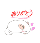 チンチラちゃんがいっぱい！【第二弾】（個別スタンプ：6）