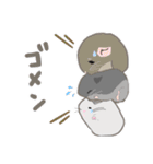 チンチラちゃんがいっぱい！【第二弾】（個別スタンプ：7）