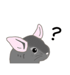 チンチラちゃんがいっぱい！【第二弾】（個別スタンプ：8）