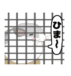 チンチラちゃんがいっぱい！【第二弾】（個別スタンプ：10）