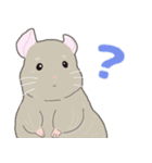 チンチラちゃんがいっぱい！【第二弾】（個別スタンプ：16）