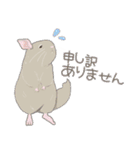 チンチラちゃんがいっぱい！【第二弾】（個別スタンプ：17）