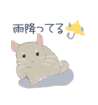 チンチラちゃんがいっぱい！【第二弾】（個別スタンプ：18）