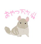 チンチラちゃんがいっぱい！【第二弾】（個別スタンプ：19）