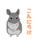 チンチラちゃんがいっぱい！【第二弾】（個別スタンプ：21）