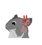 チンチラちゃんがいっぱい！【第二弾】（個別スタンプ：22）