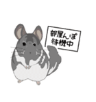 チンチラちゃんがいっぱい！【第二弾】（個別スタンプ：25）