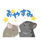 チンチラちゃんがいっぱい！【第二弾】（個別スタンプ：26）