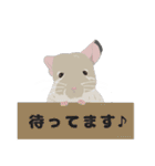 チンチラちゃんがいっぱい！【第二弾】（個別スタンプ：28）