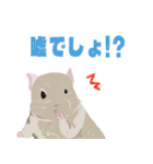 チンチラちゃんがいっぱい！【第二弾】（個別スタンプ：29）