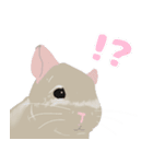 チンチラちゃんがいっぱい！【第二弾】（個別スタンプ：31）
