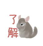 チンチラちゃんがいっぱい！【第二弾】（個別スタンプ：33）