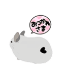 チンチラちゃんがいっぱい！【第二弾】（個別スタンプ：34）