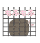 チンチラちゃんがいっぱい！【第二弾】（個別スタンプ：35）