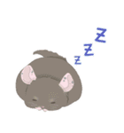 チンチラちゃんがいっぱい！【第二弾】（個別スタンプ：36）