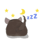 チンチラちゃんがいっぱい！【第二弾】（個別スタンプ：37）