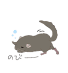 チンチラちゃんがいっぱい！【第二弾】（個別スタンプ：38）