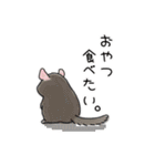 チンチラちゃんがいっぱい！【第二弾】（個別スタンプ：40）