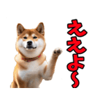 名古屋弁☆柴犬（個別スタンプ：1）