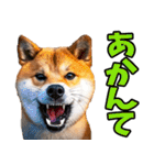 名古屋弁☆柴犬（個別スタンプ：2）