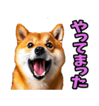 名古屋弁☆柴犬（個別スタンプ：4）