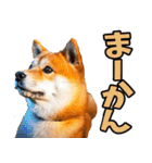 名古屋弁☆柴犬（個別スタンプ：6）