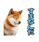 名古屋弁☆柴犬（個別スタンプ：10）
