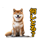 名古屋弁☆柴犬（個別スタンプ：14）