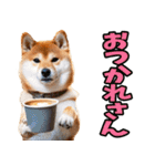 名古屋弁☆柴犬（個別スタンプ：16）