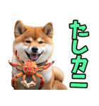 名古屋弁☆柴犬（個別スタンプ：17）