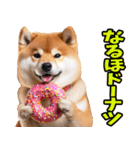 名古屋弁☆柴犬（個別スタンプ：18）