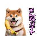 名古屋弁☆柴犬（個別スタンプ：19）
