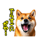 名古屋弁☆柴犬（個別スタンプ：23）