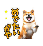 名古屋弁☆柴犬（個別スタンプ：28）